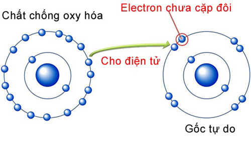 chat-chong-oxy-hoa