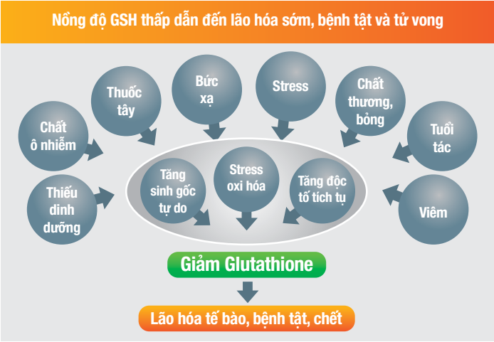 Giải pháp kích hoạt khả năng tự bảo vệ của cơ thể