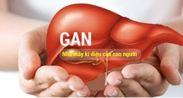 giải độc gan giải độc gan