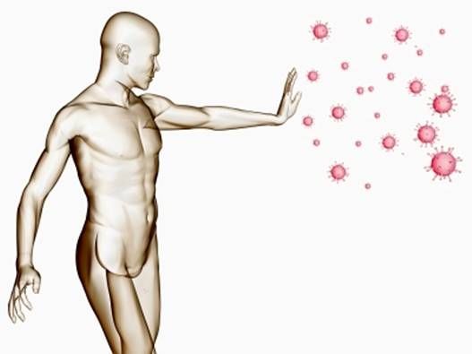 bảo vệ cơ thể từ bên trong