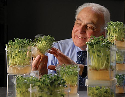 Các giáo sư Đại học Y Jonhs Hopkins đã nghiên cứu thành công hoạt chất BroccoRaphanin có tác dụng hiệu quả trong việc detox cơ thể Các giáo sư Đại học Y Jonhs Hopkins đã nghiên cứu thành công hoạt chất BroccoRaphanin có tác dụng hiệu quả trong việc detox cơ thể