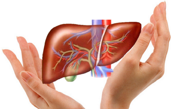 detox giải độc gan
